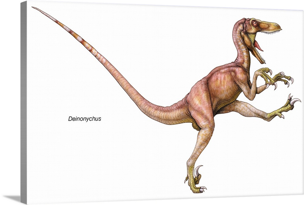 Cute Deinonychus Art Board Print for Sale by saradrawspaleo