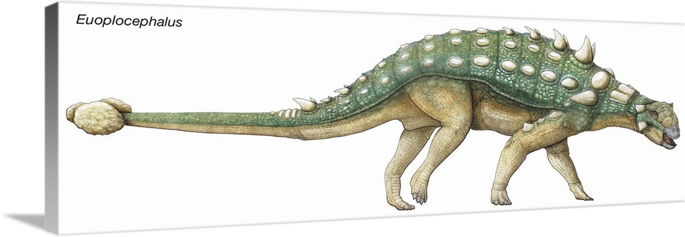 An illustration from Encyclopaedia Britannica of the dinosaur Euoplocephalus.