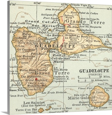 Guadaloupe - Vintage Map