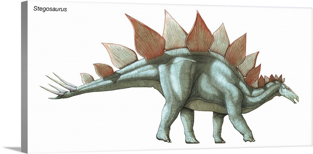 An illustration from Encyclopaedia Britannica of the dinosaur Stegosaurus.