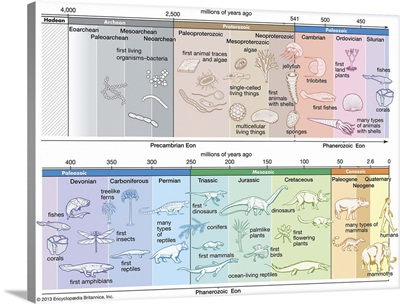Timeline of Life on Earth