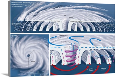 Top View And Vertical Cross Section Of A Tropical Cyclone. Atmosphere Illustration