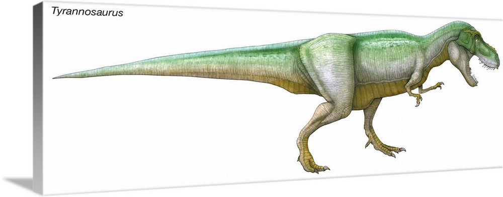 An illustration from Encyclopaedia Britannica of the dinosaur Tyrannosaurus