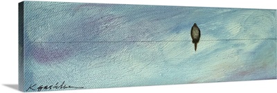 Spring Breeze Paloma