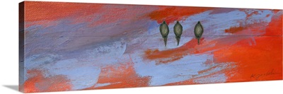 Summer Sunset and Palomas