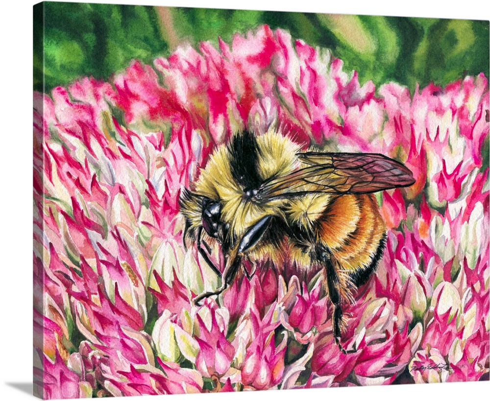 A horizontal watercolor painting of a bee inspecting a pink flower.