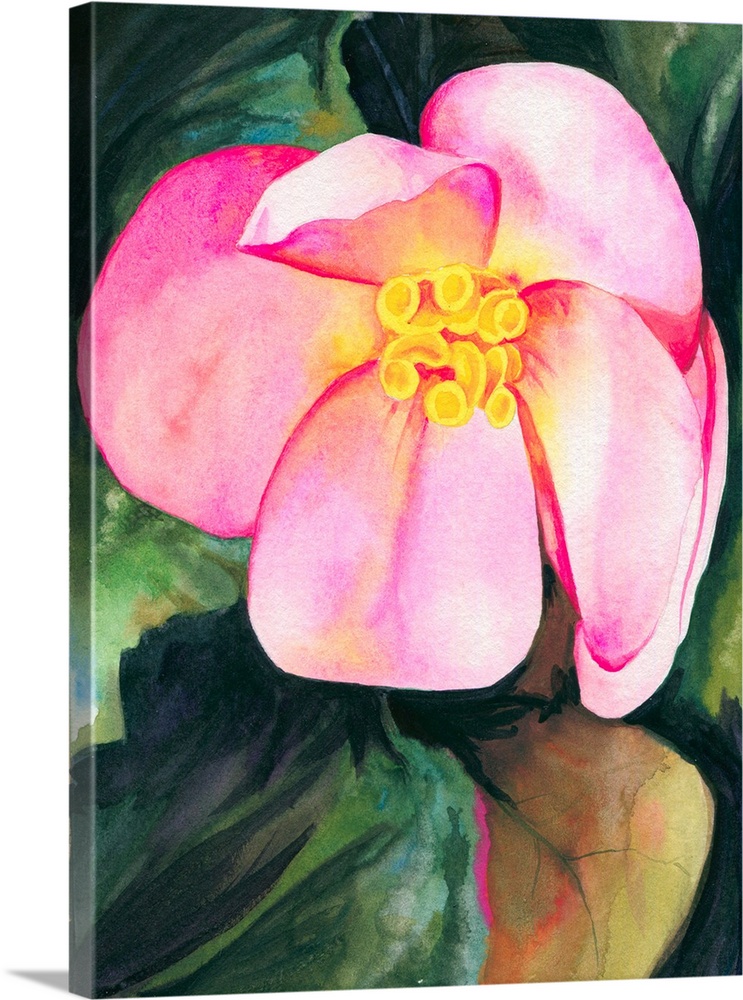 Vertical watercolor painting of a vibrant pink Begonia.