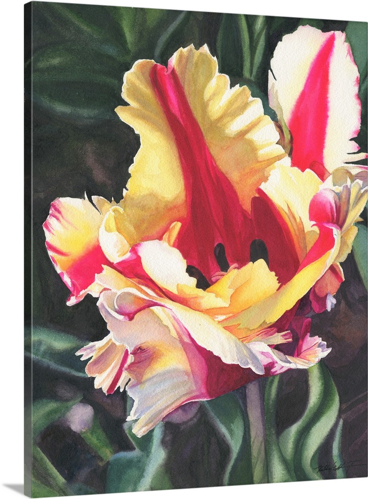 Vertical painting of a Blooming parrot Tulip in yellow and red.