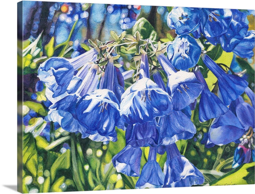 Watercolor painting of bluebells in the sun.
