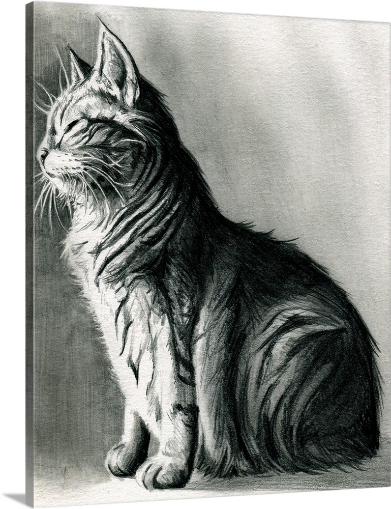 Black and white sketch of a cat.
