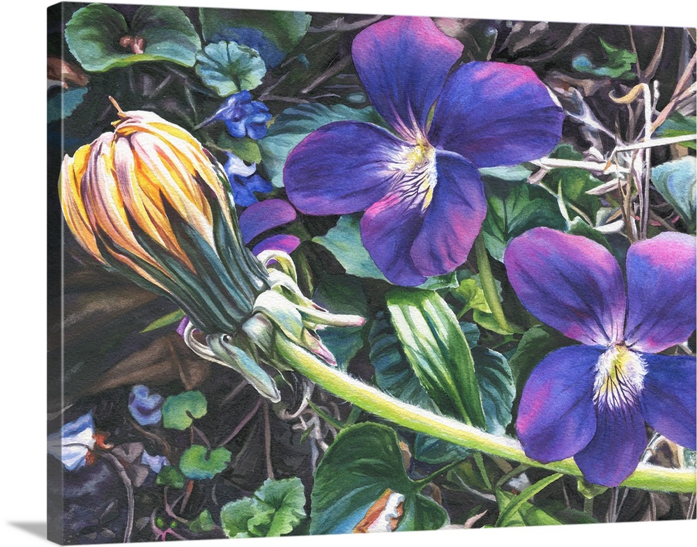 Horizontal painting of two violet blooms with a dandelion crossing in front of them.