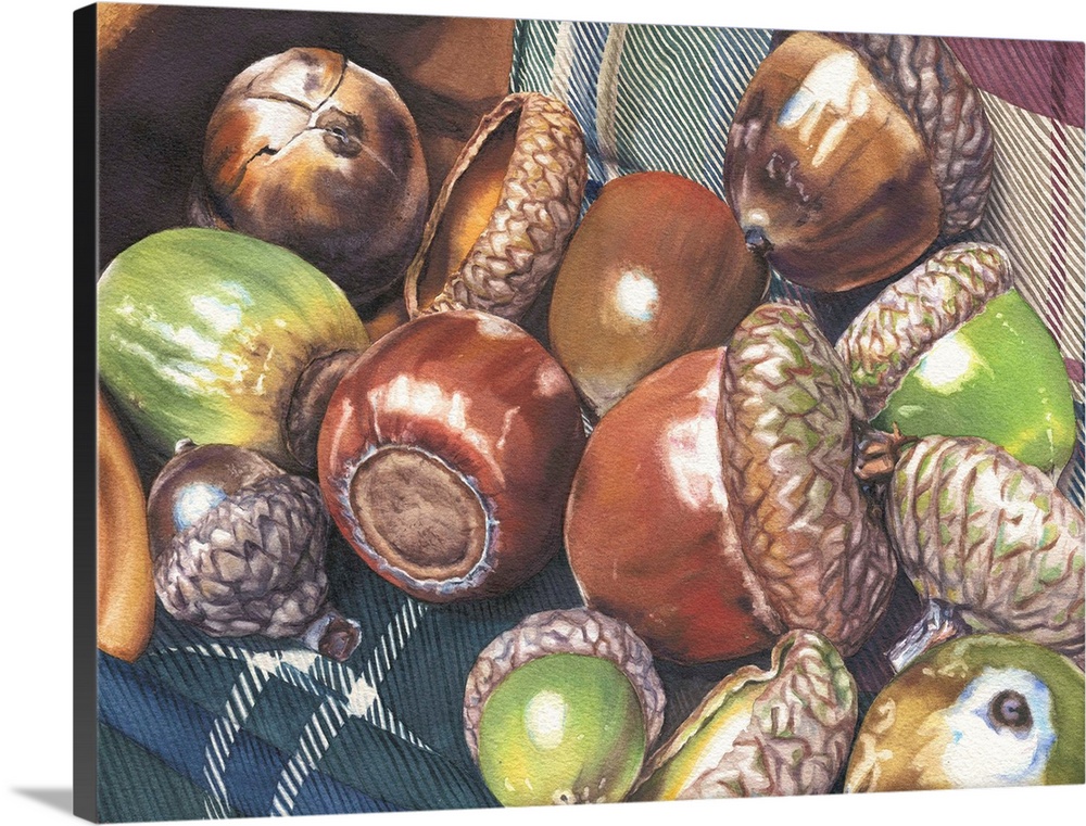 A watercolor painting of a pocketful of acorns found in the yard.