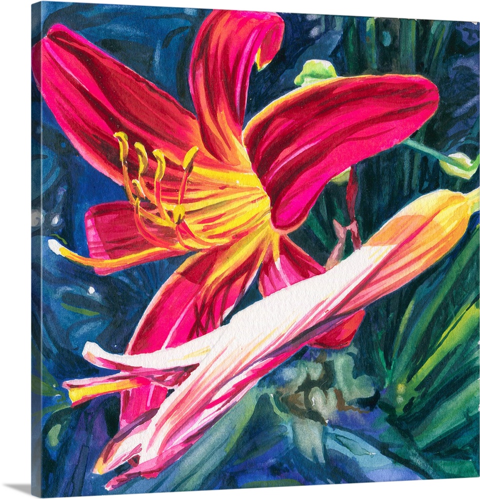 Square watercolor painting of a Red Daylily.