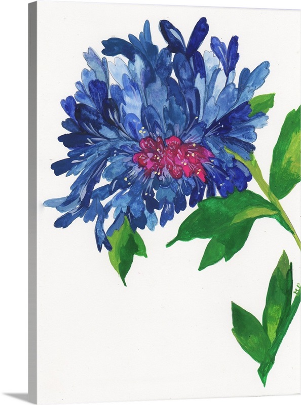 Blue Zinnia | Great Big Canvas