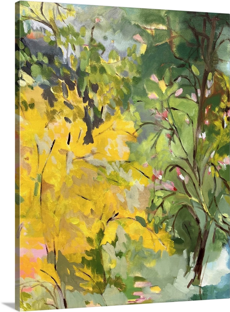 Forsythia And Magnolias