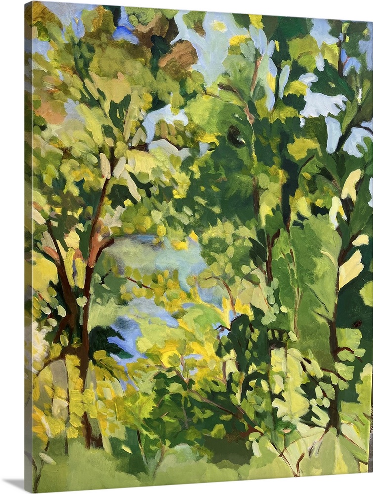 Lake Through The Trees