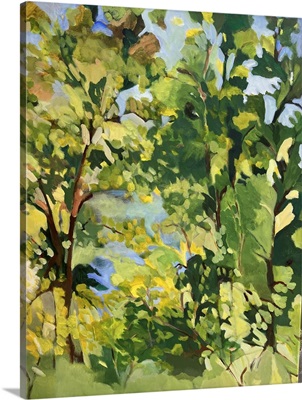 Lake Through The Trees