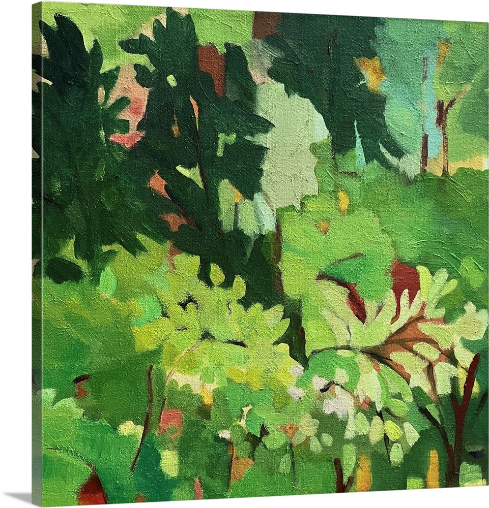 Sussex Pines In Spring