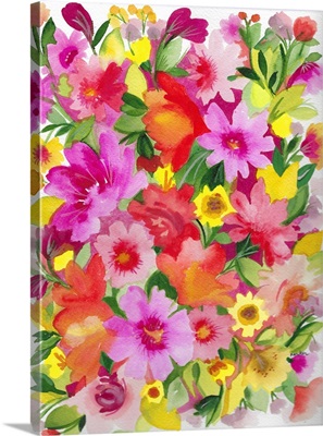 Wild Cosmos