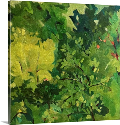 Woods In Magic Light