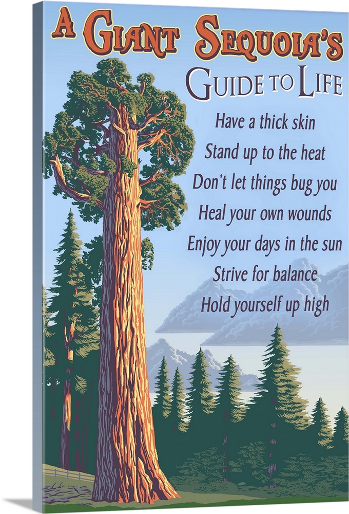 Retro stylized art poster of a giant sequoia tree.