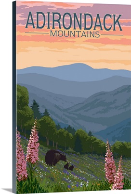 Adirondack Mountains, New York, Bears and Spring Flowers