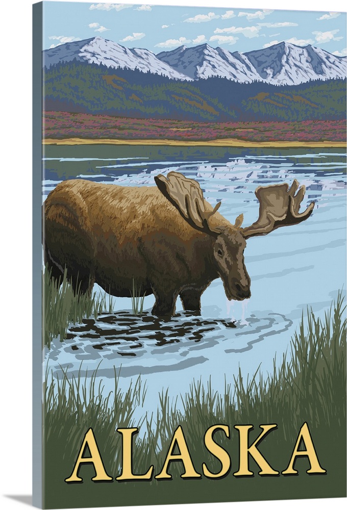 Alaska - Moose in Water