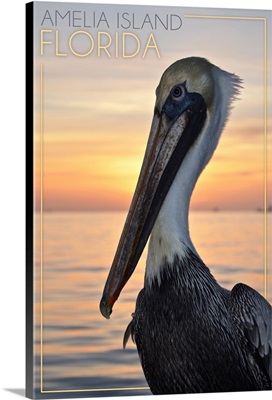 Amelia Island, Florida, Pelican