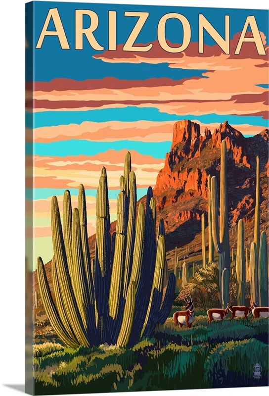 Arizona, Organ Pipe Cactus | Great Big Canvas