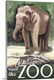 image thumbnail of Asian Elephant - Visit the Zoo: Retro Travel Poster