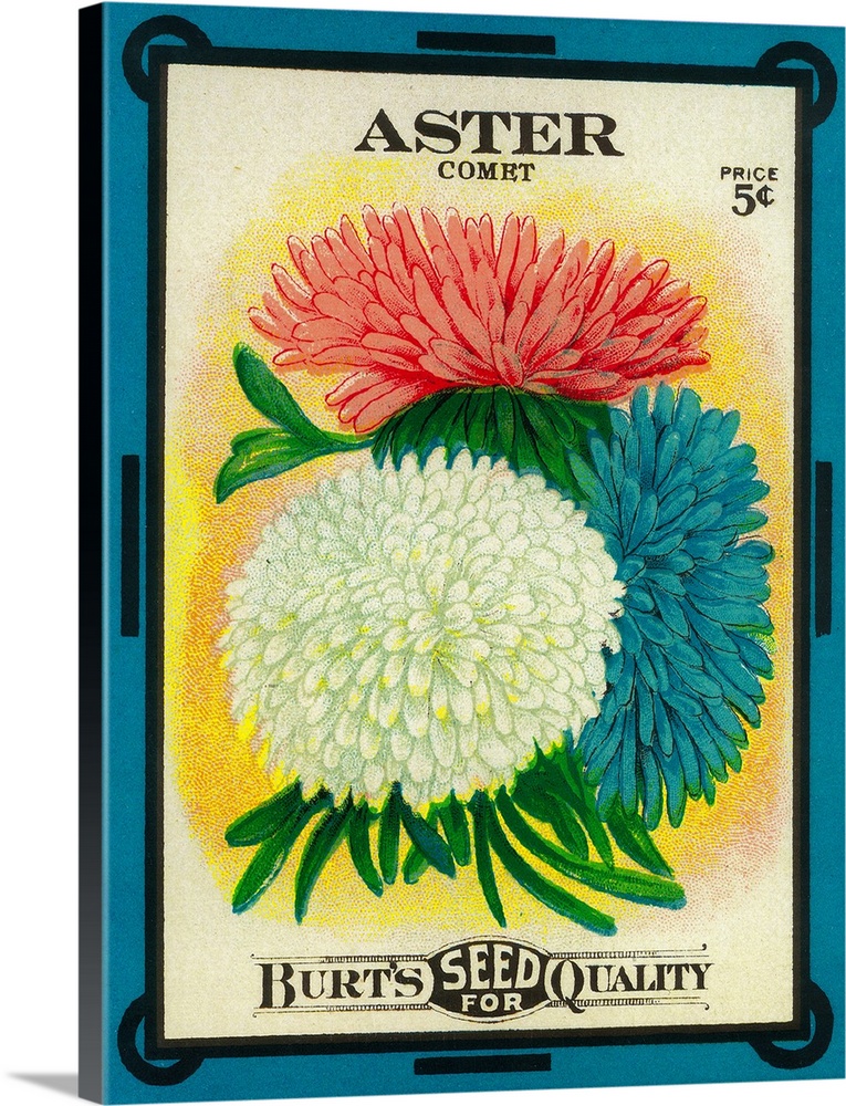 A vintage label from a seed packet for Asters.