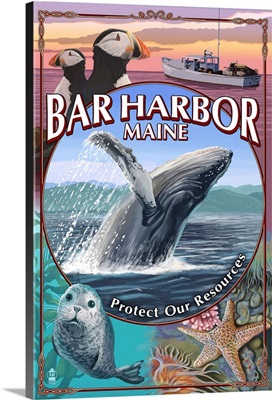 Bar Harbor, Maine, Wildlife Montage
