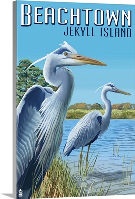 Beachtown, Jekyll Island, Georgia, Blue Herons