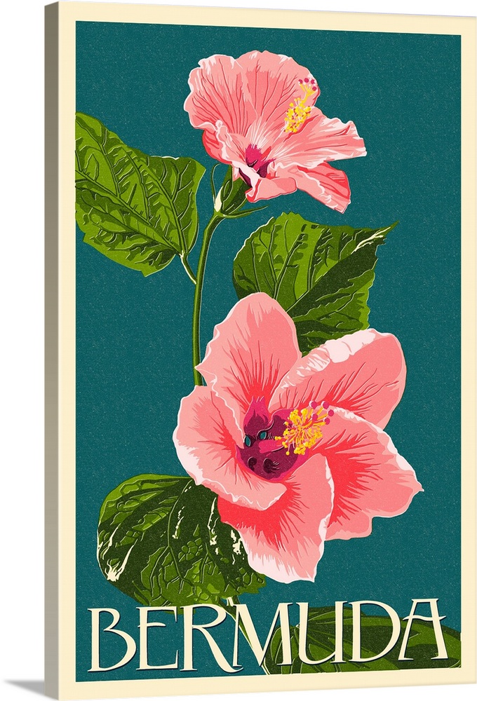 Bermuda - Pink Hibiscus: Retro Travel Poster