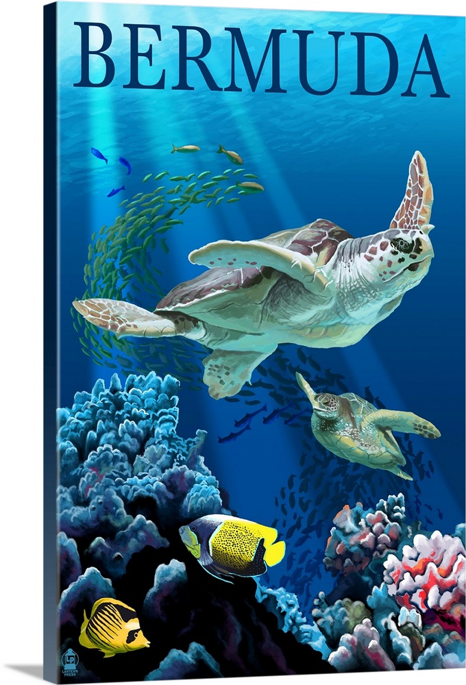 Bermuda - Sea Turtles: Retro Travel Poster