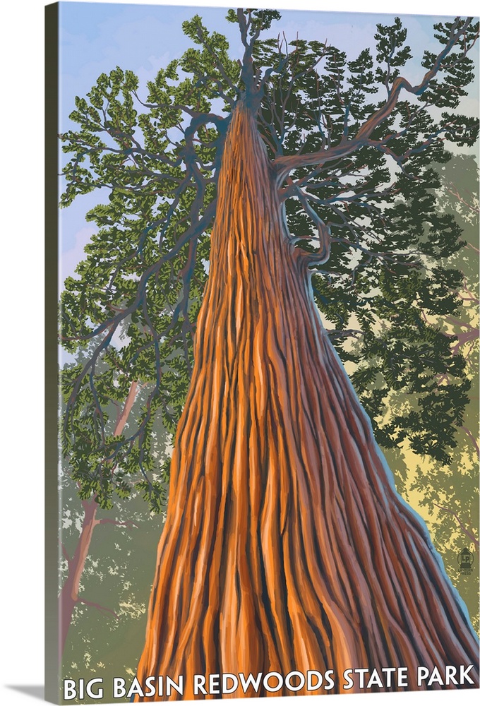 Big Basin Redwoods State Park - Looking up Tree: Retro Travel Poster