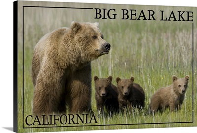 Big Bear Lake, California - Bear Family (James T. Jones Photography)