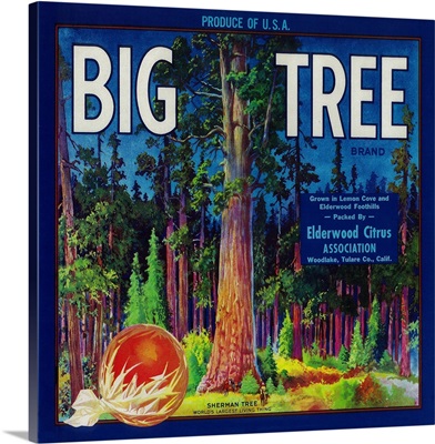 Big Tree Orange Label, Woodlake, CA