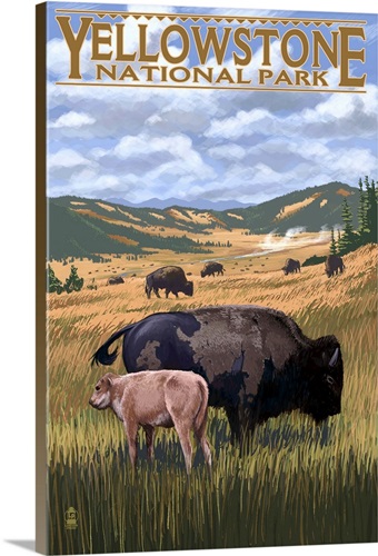 Bison and Calf Grazing, Yellowstone National Park Wall Art, Canvas ...