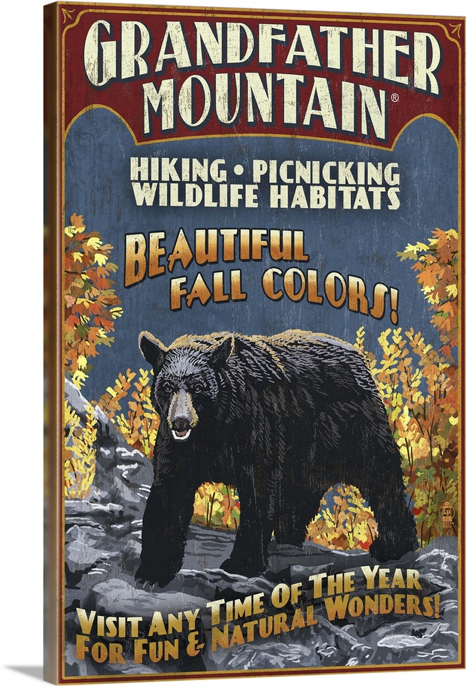 Black Bear Vintage Sign - Grandfather Mountain, Tennessee: Retro Travel Poster