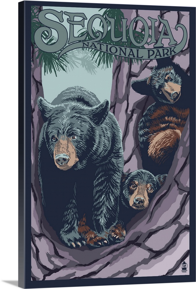 Black Bears in Tree - Sequoia National Park: Retro Travel Poster