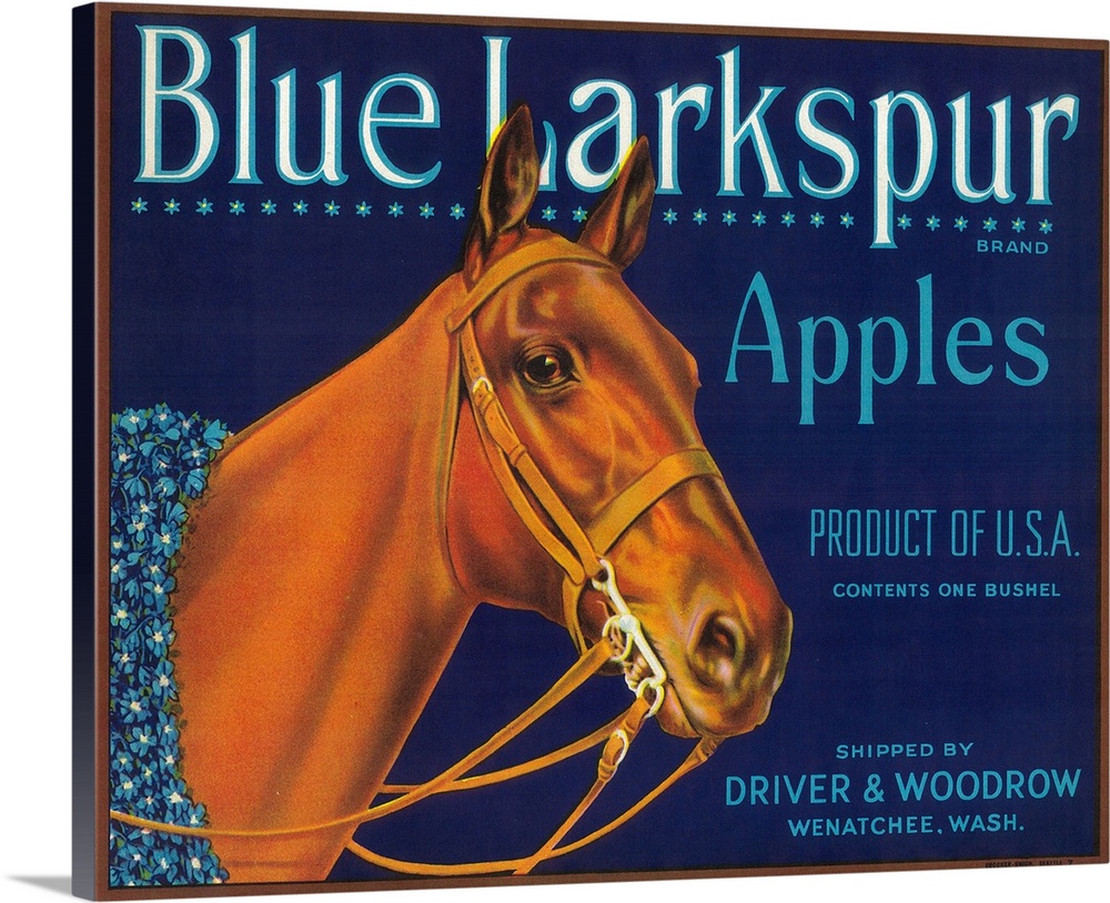 Blue Larkspur Apple Label, Wenatchee, WA