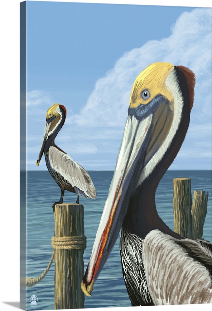 Brown Pelican: Retro Poster