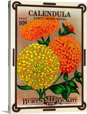 Calendula Seed Packet