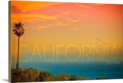 California Del Mar, Sunset and Birds