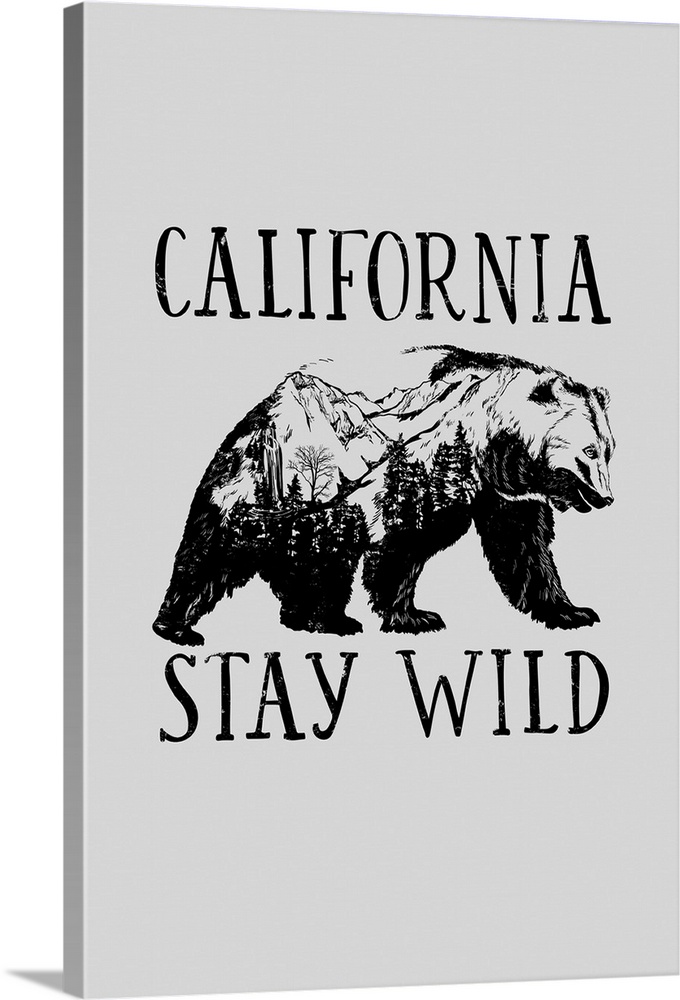 California - Stay Wild - Contour