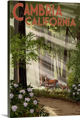 Cambria, California, Deer and Forest