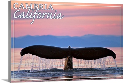 Cambria, California, Whale Fluke and Sunset