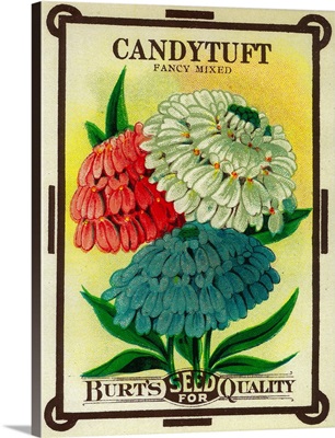 Candytuft Seed Packet