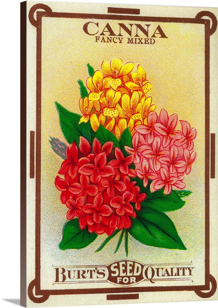 A vintage label from a seed packet for Cannas.